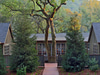 Meadowood