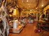 Paxton Gate's Curiosities for Kids