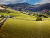 Shafer Vineyards