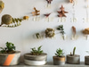 Sprout Home