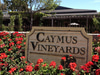 Caymus Vineyards
