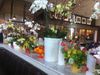Bistro Don Giovanni