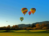 Napa Valley Balloons