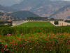 Opus One Winery