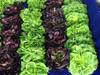 London Farmers' Markets