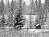 Aspen Center for Environmental Studies