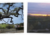Blackjack Ranch Vineyards & Winery
