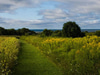 Norman Bird Sanctuary