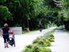 Katy Trail