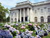Newport Mansions