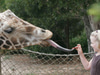 Santa Barbara Zoo