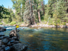 Aspen FlyFishing