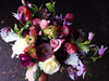 Sammy's Flowers