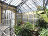 Hortus Botanicus