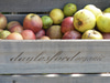 Daylesford Pimlico