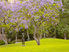 Murphy Sculpture Garden