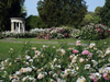Huntington Botanical Gardens