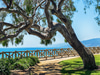 Palisades Park