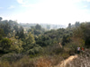 Temescal Canyon