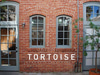 Tortoise General Store