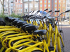 Yellow Bike Rentals