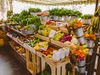 Flora Farms