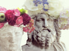 The Flower Appreciation Society