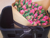 Flowerbx