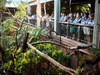 London Zoo