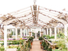 Clifton Nurseries