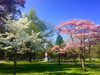 Boston Common