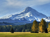Mount Hood