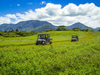 Princeville Ranch