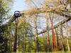 Treetop Walkway at Kew Gardens