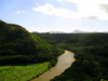 Kayak Wailua River & Hike to Waterfall