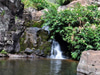 Waimea Canyon State Park Hike