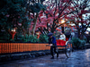The Ritz-Carlton Kyoto