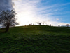 Primrose Hill