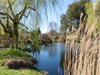 Regent's Park