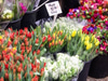 Wimbledon Farmer's Market
