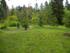 Washington Park Arboretum