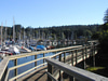 Bainbridge Island