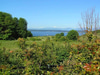 Discovery Park