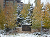 The St. Regis Deer Valley