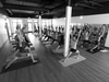 YMI: Yoga Mastery Institute