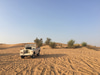 Desert Safari