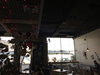 The Lime Tree