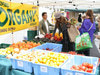 Malibu Farmers Market
