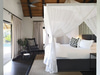 Londolozi