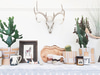 Fig Curated Living
